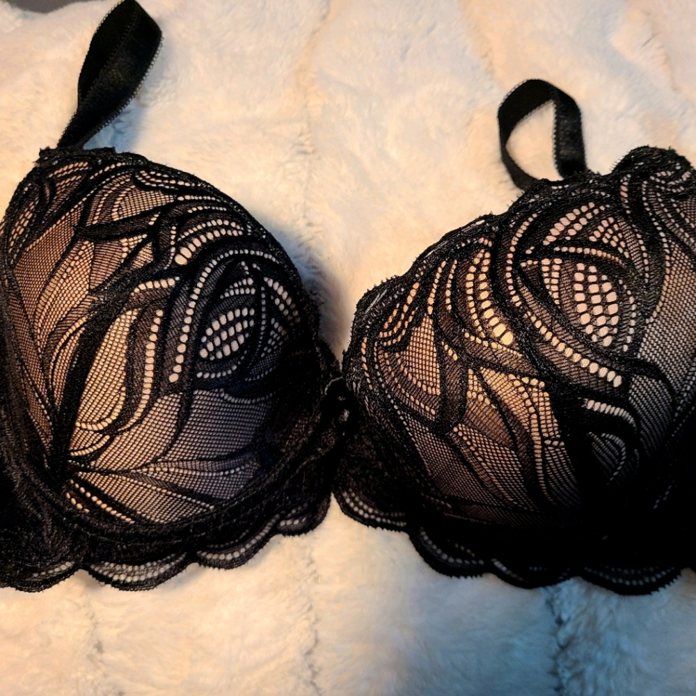 38c Paramore pushup bra